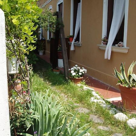 Perla B&B Lido di Venezia ภายนอก รูปภาพ